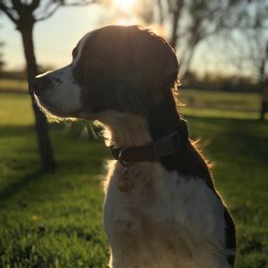 Meet your Posher, Ava